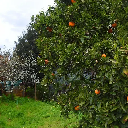 Bed & Breakfast La Casa Del Cuore
