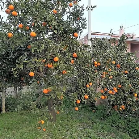 La Casa Del Cuore 3* Muravera