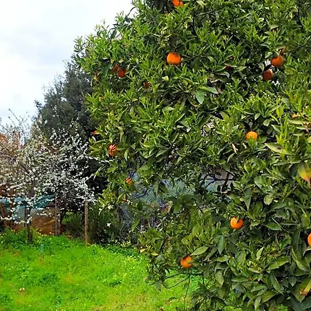 La Casa Del Cuore Muravera